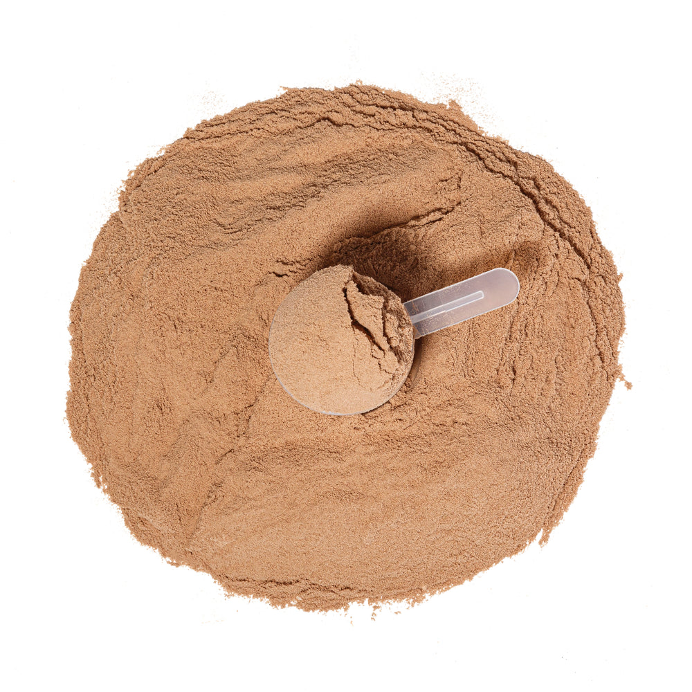 
                  
                    CHOCOLATE WHEY PROTEIN ISOLATE
                  
                