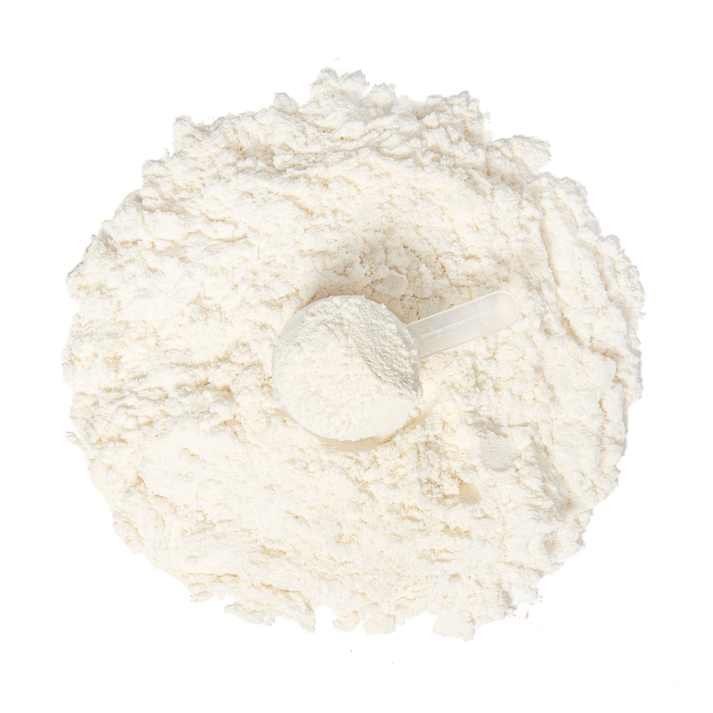 VANILLA WHEY PROTEIN ISOLATE