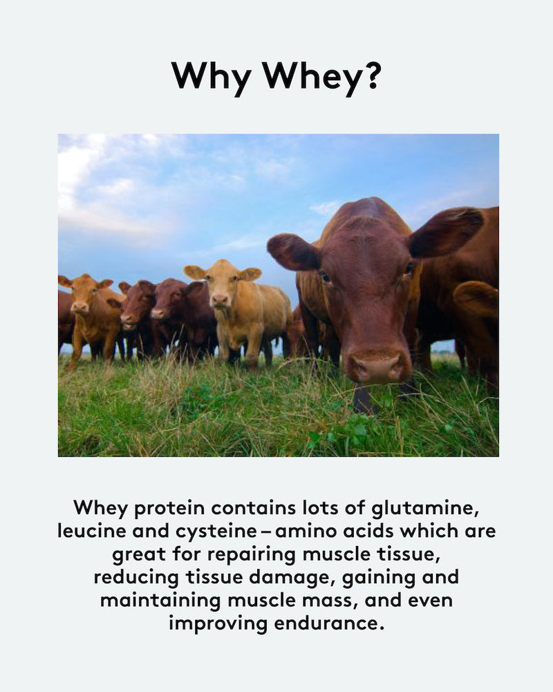 Why Whey?